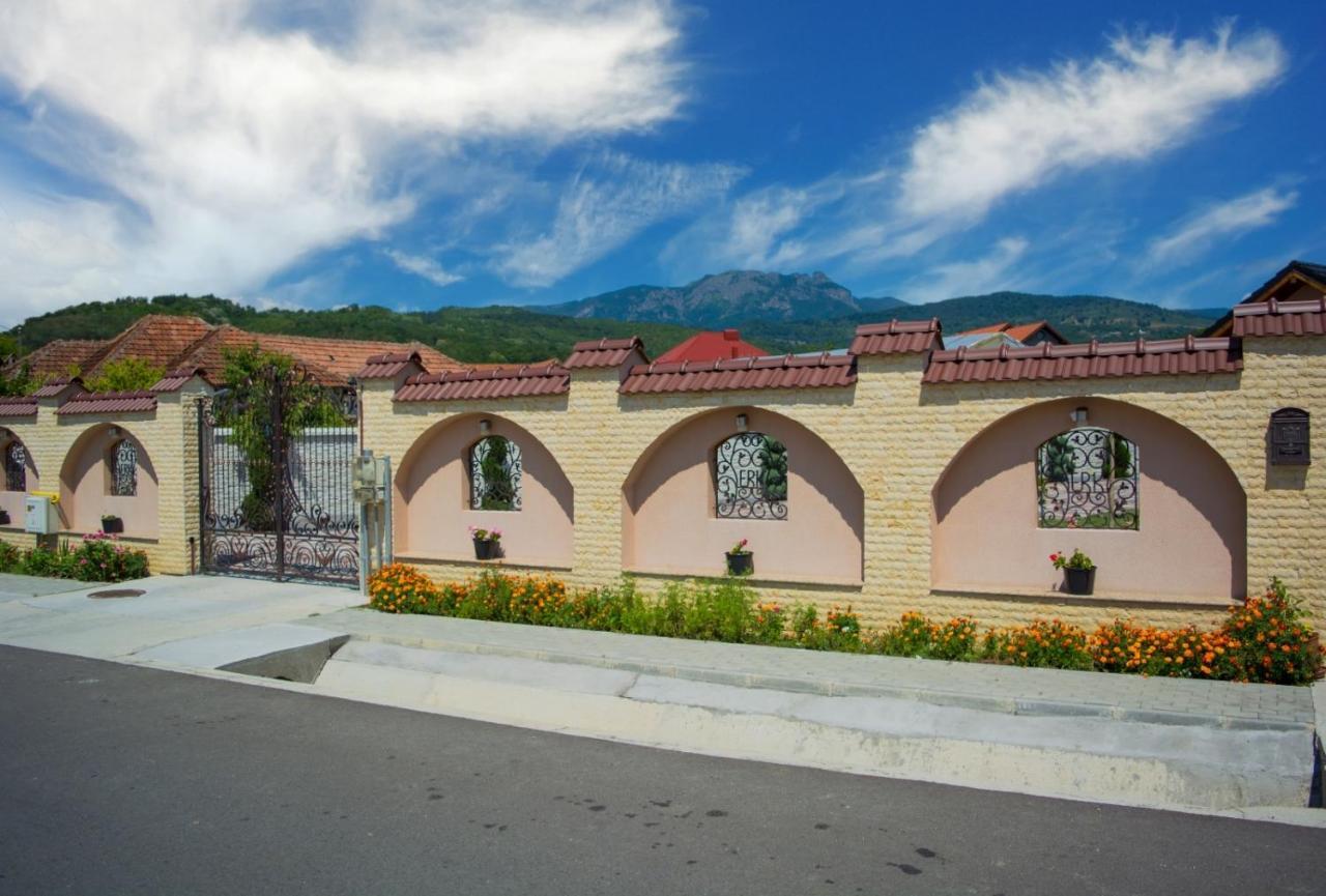 Bed and Breakfast Casa Erk Кэлимэнешти Экстерьер фото
